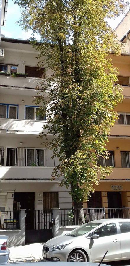 Studio Karma Budapest Luaran gambar
